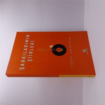 Şarkılarımın Şiirleri - Ümit Akdemir