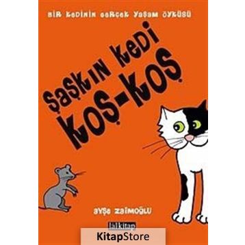 Şaşkın Kedi Koş - Koş - Ayşe Zaimoğlu