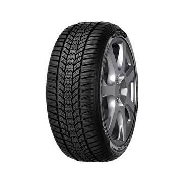 Sava 245/45 R18 100V XL Eskimo HP 2 FP Kış Lastiği 2024