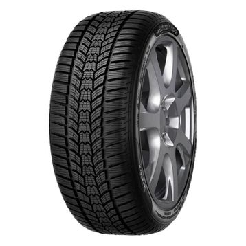 Sava 245/45 R18 100V XL Eskimo HP 2 FP Kış Lastiği 2024