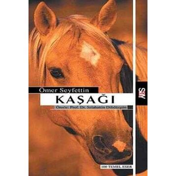 Say Yayınları Kaşağı