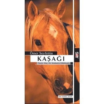 Say Yayınları Kaşağı