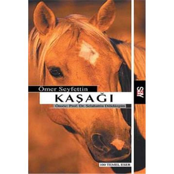 Say Yayınları Kaşağı