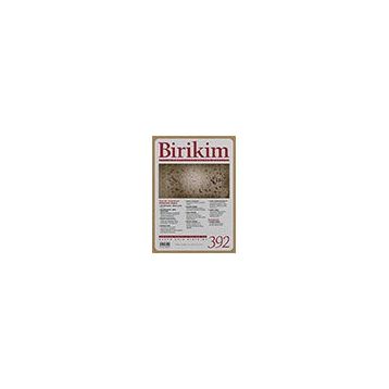 Sayı: 392 Birikim Aylık Sosyalist Kültür Dergisi Aralık Birikim Yayınları
