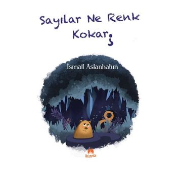 Sayılar Ne Renk Kokar İsmail Aslanhatun