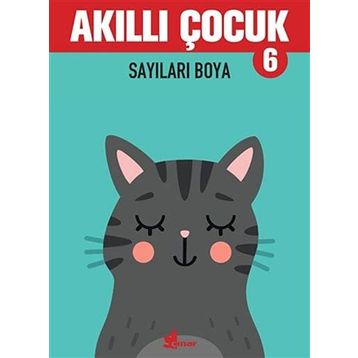 Sayıları Boya - Akıllı Çocuk 6 Kitap