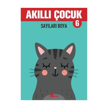 Sayıları Boya - Akıllı Çocuk 6 Kitap