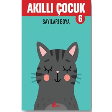 Sayıları Boya - Akıllı Çocuk 6 Kitap