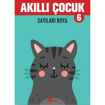 Sayıları Boya - Akıllı Çocuk 6 Kitap