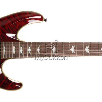 Schecter Omen Extreme 6 Elektro Gitar
