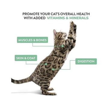 Schesir Ton Balığı ile Tavuklu Jöle İçinde Multipack 6x50 gr Kedi Konservesi