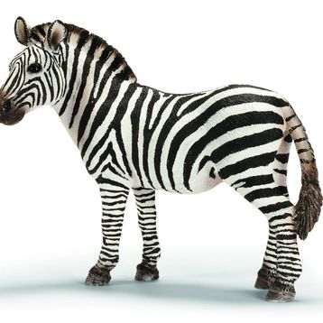 Schleich 14810 Zebra Dişi Figür Oyuncak