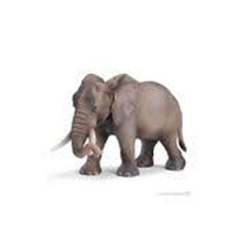 Schleich SCH-14761 Afrika Fili Dişi Hayvan Figür