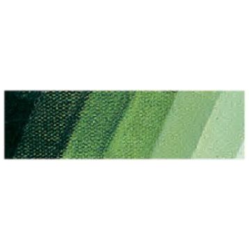 Schmincke 526 Sap Green Mussini Artist Yağlı Boya 35 ml Seri 2