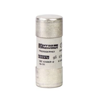 Schneider DF2FN100 Tesys22x58mm aM 100 A Kartuşu Sigorta