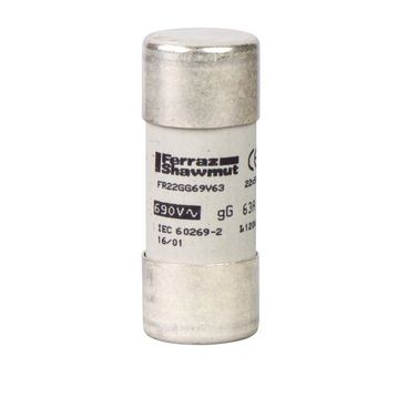 Schneider DF2FN63 Tesys22x58mm aM 63 A Göstergesiz Kartuşu Sigorta