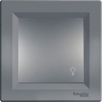 Schneider EPH0700162 Asfora Çelik Çerçeveli Liht Anahtar