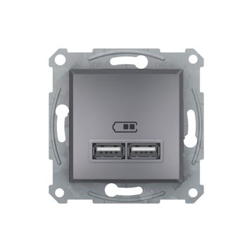 Schneider EPH2700262 2'li 2.1A Asfora Çelik Usb Prizi
