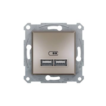 Schneider EPH2700269 2'li Asfora Bronz 2.1A Usb Priz