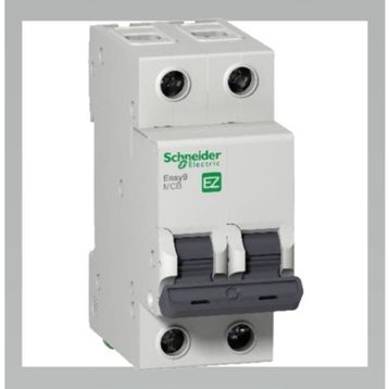Schneider EZ9F43240 C Tipi 2x40A Otomatik Sigorta