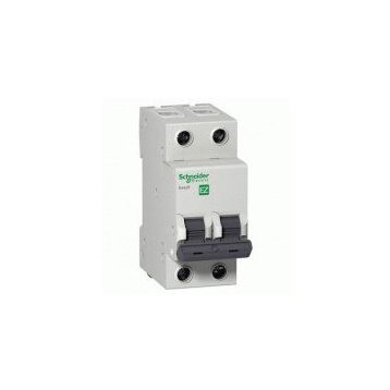 Schneider EZ9F56232 EASY9 Serisi C Tipi 2x32 A Otomatik Sigorta