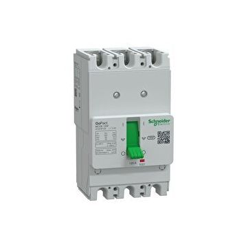 Schneider G12F3F50 GoPact MCCB 125F 3P3D 50 Sabit Şalter
