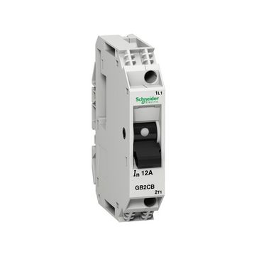 Schneider GB2CB16 Tesys Gb2 1.5kA 1P 10A Termik Manyetik Devre Kesici