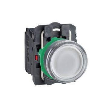 Schneider XB5-AW31M5 220VAC-DC Işıklı Beyaz Yaylı Buton