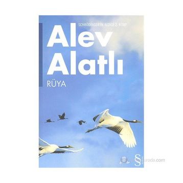 SCHRÖDINGER'İN KEDISI 2. KITAP RÜYA - ALEV ALATLI