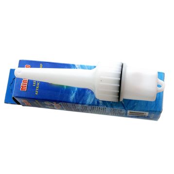 Sea Horse Ming Hao Derin Su Işığı
