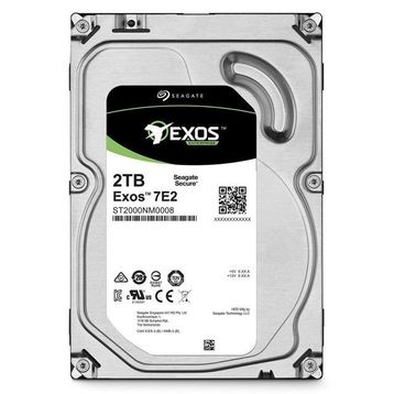 Seagate Enterprise Capacity 2TB ST2000NM0008 Sabit Disk