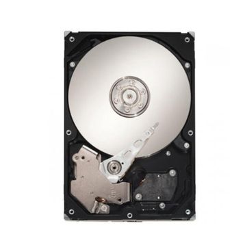 Seagate ST3250318AS Harddisk