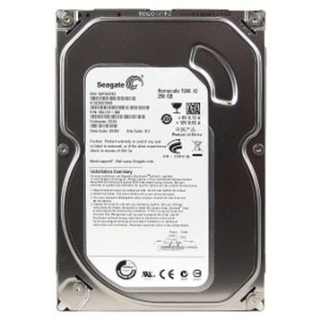 Seagate ST3250318AS Harddisk