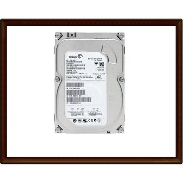 Seagate ST380815AS Harddisk