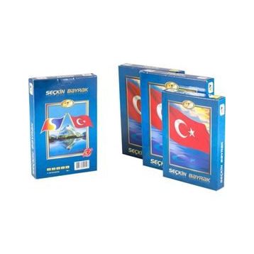 Seçkin 70x105 cm Türk Bayrağı