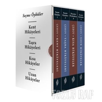 SEÇME ÖYKÜLER - EDGAR ALLAN POE