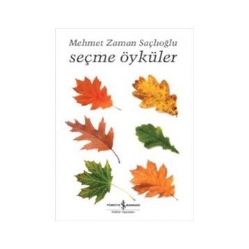 Seçme Öyküler - Faik Baysal