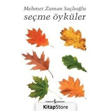 Seçme Öyküler - Mehmet Zaman Saçlıoğlu