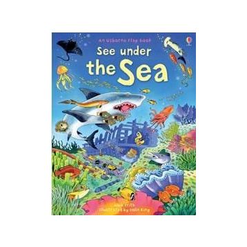 See Under the Sea - Usborne Yayınları