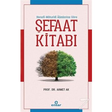 Şefaat Kitabı - Ahmet Ak