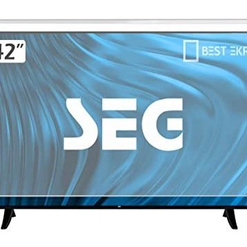SEG 42SD5100 Tv Ekran Koruyucu