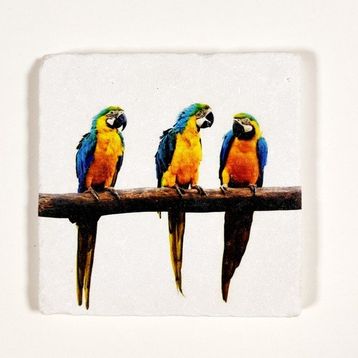 Şeker Portakalım 10X10 cm Dekoratif Figürlü Doğal Taş Gider Kapağı Banyo Süsü Tekli