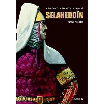 Selaheddin Serokati, Stratej, Dijberi - David Nicolle