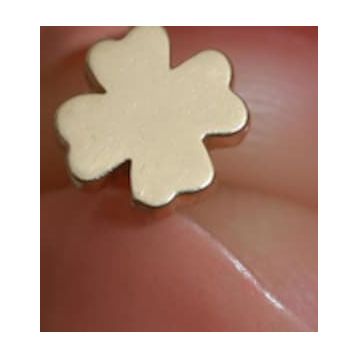 Sembol Gold 14 Ayar Altın Yonca Tragus Piercing