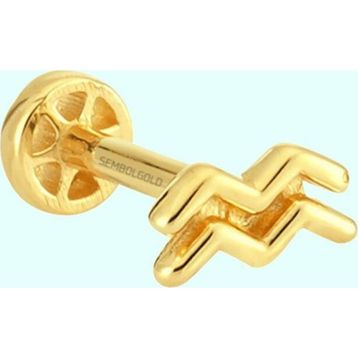 Sembol Gold 14 Ayar Kova Burcu Altın Tragus Piercing