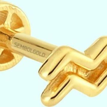 Sembol Gold 14 Ayar Kova Burcu Altın Tragus Piercing