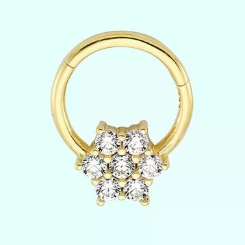 Sembol Gold Tektaş Kartanesi 14 Ayar Altın Halka Piercing