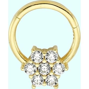 Sembol Gold Tektaş Kartanesi 14 Ayar Altın Halka Piercing