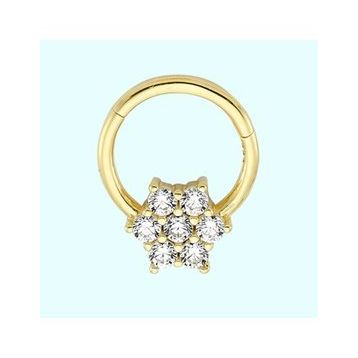 Sembol Gold Tektaş Kartanesi 14 Ayar Altın Halka Piercing
