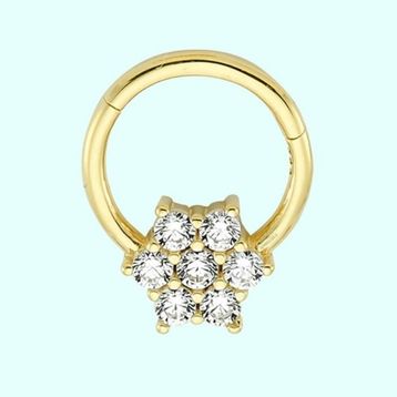 Sembol Gold Tektaş Kartanesi 14 Ayar Altın Halka Piercing